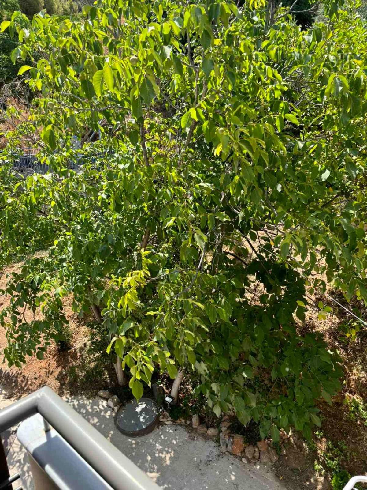 Ducato Di Aria Apartment Nafplio Ngoại thất bức ảnh